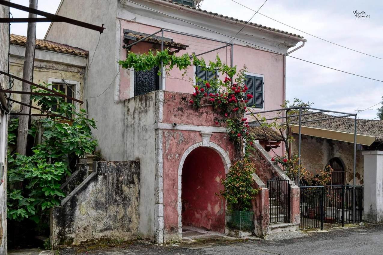 Alexandras Forest View Apartment Agios Prokopios  Exterior photo